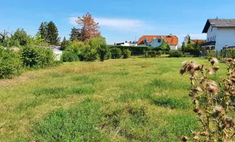 sonniger Baugrund für Einfamilienhaus