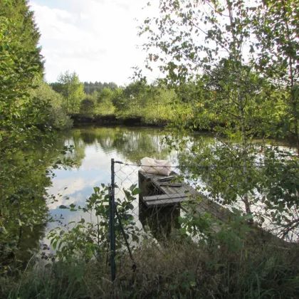 *****3 kleine Fischteiche im Waldviertel***** - Bild 2