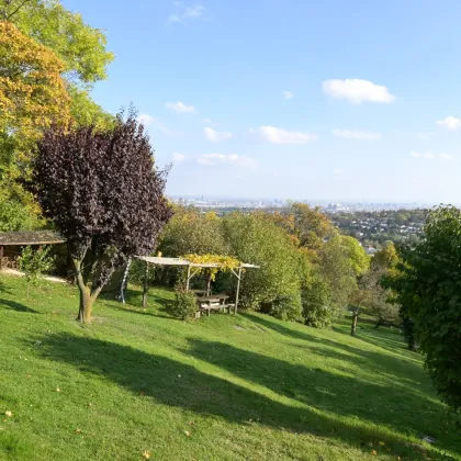 Genug Platz für Erholung - Parkliegenschaft mit Fernblick! - Bild 2