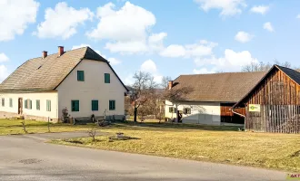 Wohnhaus & Nebengebäude auf rund 6.000 m² Bauland. - Wald und Freiland inkl. - Großes Potential.