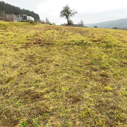 Sonniges, großes Baugrundstück in Ruhelage mit angrenzenden Grünland in Olbendorf Nähe Stegersbach - Bild 2