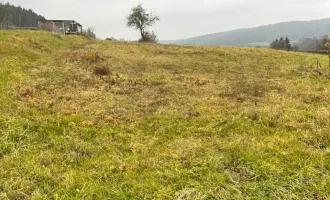 Sonniges, großes Baugrundstück in Ruhelage mit angrenzenden Grünland in Olbendorf Nähe Stegersbach