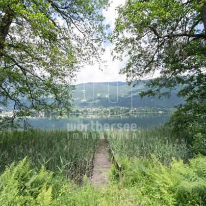 Baugenehmigt für eine Seevilla mit Freizeitwohnsitz am Ossiacher See - Bild 3