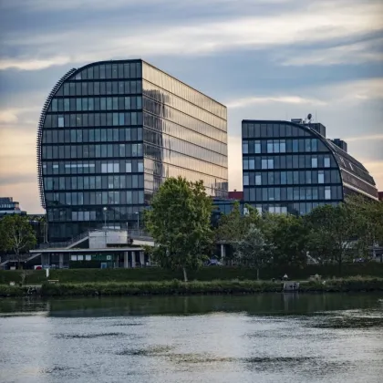 Bürofläche im attraktiven Teambüro-Layout mit Blick zur Donau - Bild 2