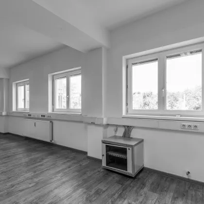 Büro/Praxis in 1210 Wien: 487m², 9 Zimmer, Terrasse, Stellplätze - Bild 3