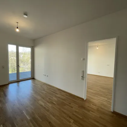 Eigentum - TOP 17 mit 21 m² Loggia !! - Bild 3