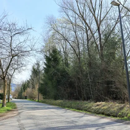 Exklusives Baugrundstück in unmittelbarer Nähe zum Leopoldskroner Weiher, gelegen in einer idyllischen und ruhigen Sonnenlage von Salzburg. - Bild 3