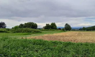 Schönes Grundstück