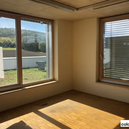 Modernes Kleinbüro in Mödling SOL4 mit Terrasse - Bild 3