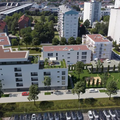 Neubau - Wohnung mit Balkon - Wels - Bild 3