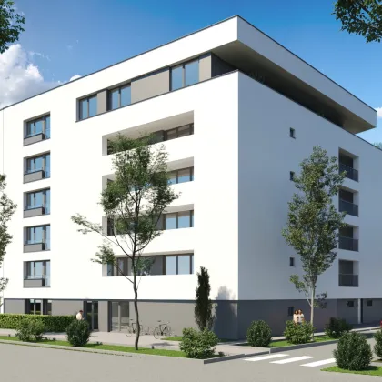 Neubau - 3 Zimmer Wohnung mit Balkon - Wels - Bild 3