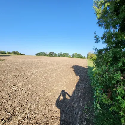 Herrliche Landidylle im wunderschönen Weinviertel! - Bild 2