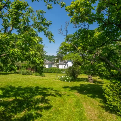 ALTBAUVILLA in exklusiver Lage am Heuberg, Traumgrundstück mit Aussicht - Bild 2