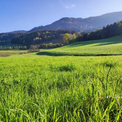 Erfüllen Sie Ihren Wohntraum – Sonniges, ebenes Baugrundstück in Ruhelage am Millstätter See - Bild 2