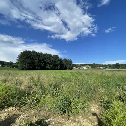 Ebenes Bauland in malerischer Landschaft - Bild 3