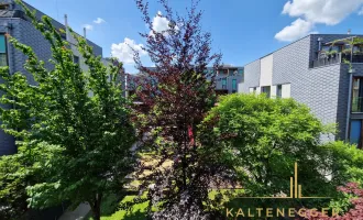 Im Herzen von Strebersdorf: Bezaubernde 4-Zimmer-Maisonette mit 2 Loggien