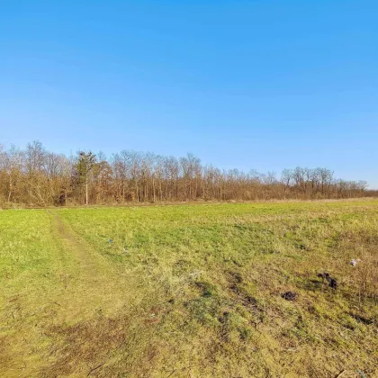 Wohn-Baugrund in Strasshof.- 15. Min zur Stadtgrenze Wien. - Ideal für Familien. - Ruhige und naturnahe Wohnlage. - Bild 2