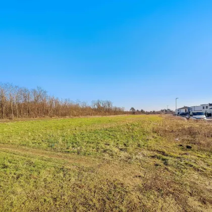 15. Min vor Wien. - Wohn-Baugrund in ruhiger und naturnaher Wohnlage. - Wald direkt anschließend. - Bild 3