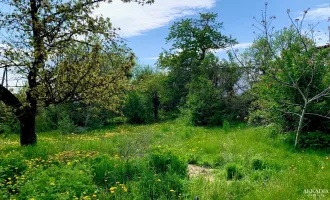 Grundstück in ruhiger Siedlungslage