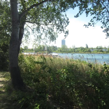 Einzigartiges Grundstück direkt an der Alten Donau Promenade am Wasser ! - Bild 2