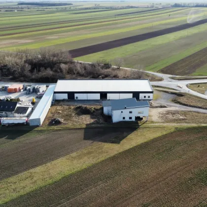 PROVISIONSFREI - Großzügige Lagerhalle mit anliegendem belagsfertigen Einfamilienhaus/Bürohaus - Bild 3