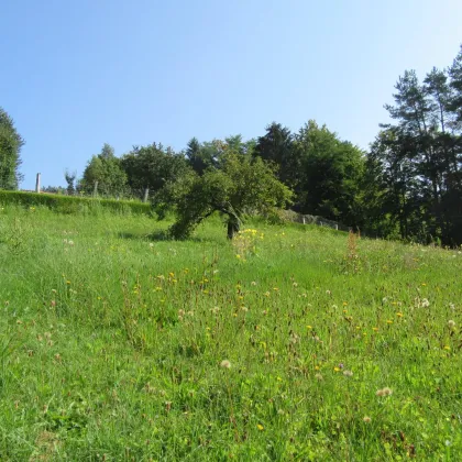 sonniges Grundstück 1415 m² mit wunderschönen Fernblick in Eibiswald - Bild 3