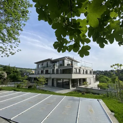 Großzügige Terrassenwohnung mit Grün- und Stadtblick in Neustift am Walde! - Bild 3