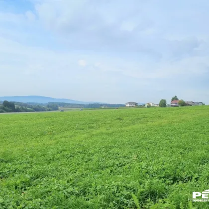 GEWERBEGRUND: BETRIEBSBAUGEBIET AN DER B1 - VÖCKLAMARKT - Bild 3