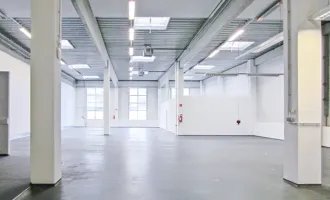 Lagerhalle 650 m2 + Büro 229 m2 Kombination südlich von Wien, in Wr. Neudorf