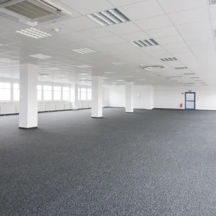 Büro 300 m2 südlich von Wien in Wr. Neudorf - Bild 3