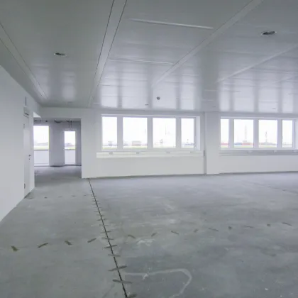 Büro 400 m2 südlich von Wien in Wr. Neudorf - Bild 2