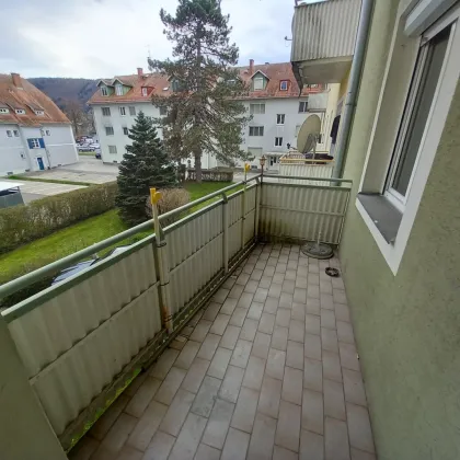 Wohnungspaket: 5 Einheiten mit Balkon verfügbar! - Bild 3