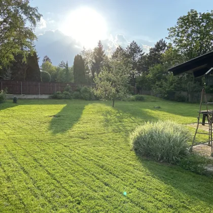 Herbstpreis - Wunderschönes Grundstück mit Blockhaus - Gießhübl - Bild 3