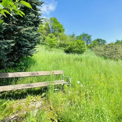 Baugrundstück mit 923 m² (südöstlich ausgerichtet) zum Kauf in Mürzzuschlag! - Bild 3