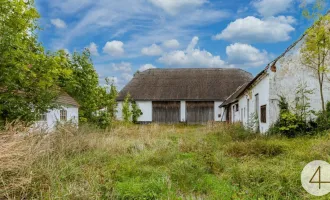 Geschlossener Bauernhof mit großem Stadel!