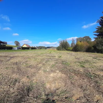 Schönes, sonniges Bauträger-Grundstück in Allerheiligen bei Wildon. - Bild 3