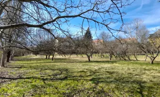 Sonnige Baugründe im Stadtbereich von Hartberg