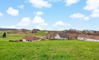 Neuer Preis! - Großer Wohnbau-Grund. - Zwischen Jennersdorf und Fürstenfeld. - Teilung möglich.