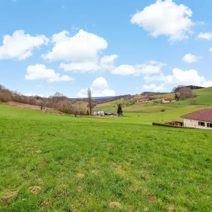 Neuer Preis! - Großer Wohnbau-Grund. - Zwischen Jennersdorf und Fürstenfeld. - Teilung möglich. - Bild 2