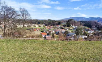 5 Min. vor Graz. - Erhöhte Lage mit Fernblick. - Wohn-Baugrund mit perfekter Autobahn-Anbindung!