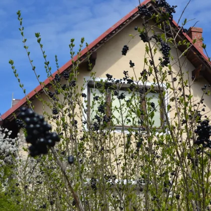 R E S E R V I E R T - Einfamilienhaus mit nettem Garten am Retzer Stadtrand - Bild 2