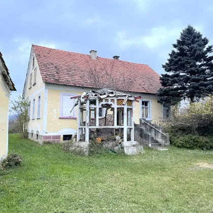 Fehring- Brunn, Herrenhaus, hohen Sanierungsbedarf, Bach, Teich , Bauernhaus, Grund ca. 27.335 m², Mühle - Bild 2