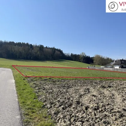 RESERVIERT Wohnprojekt Blumenweg TOP 1: Leistbare Doppelhaushälften in Kematen am Innbach! - Bild 3