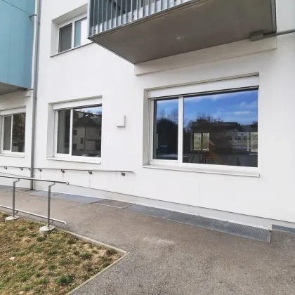 ERSTBEZUG in 3100 St. Pölten - 370m² Gewerbefläche - Bild 3