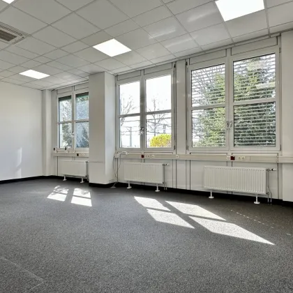 Bürofläche im Concorde Business Park | 5 Räume auf 191m2 mit Teeküche und getrennten Toiletten (D2/6A) - Bild 3