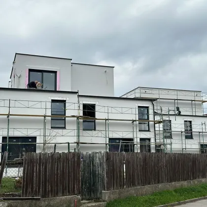 Neues Zuhause in Wilfersdorf bei Tulln : Erstbezug, 144,79m², 2 Stellplätze, Garten - Bild 2