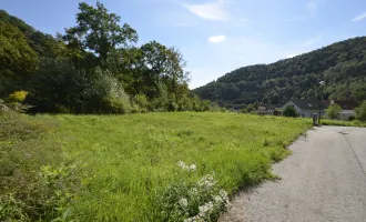 Wunderschönes Baugrundstück in Senftenberg bei Krems an der Donau - bereits aufgeschlossen - kein Bauzwang