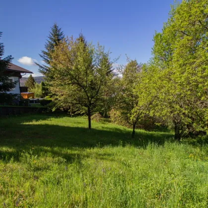 IDYLLISCHES BAUGRUNDSTÜCK IN ABSOLUTER RUHELAGE AM MILLSTÄTTER SONNENPLATEAU - Bild 2