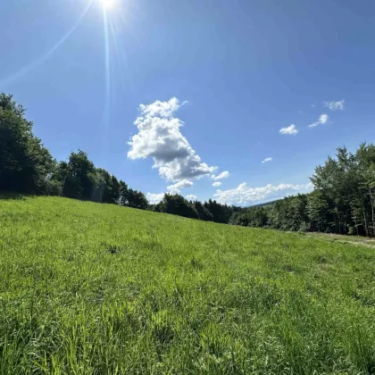 Ideales Grundstück für Einfamilienhäuser mit wunderschönen Weitblick nahe des Grazer Stadtrands am Kaiserbergs in Lannach - Bild 2