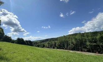 Ideales Grundstück für Einfamilienhäuser mit wunderschönen Weitblick nahe des Grazer Stadtrands am Kaiserbergs in Lannach